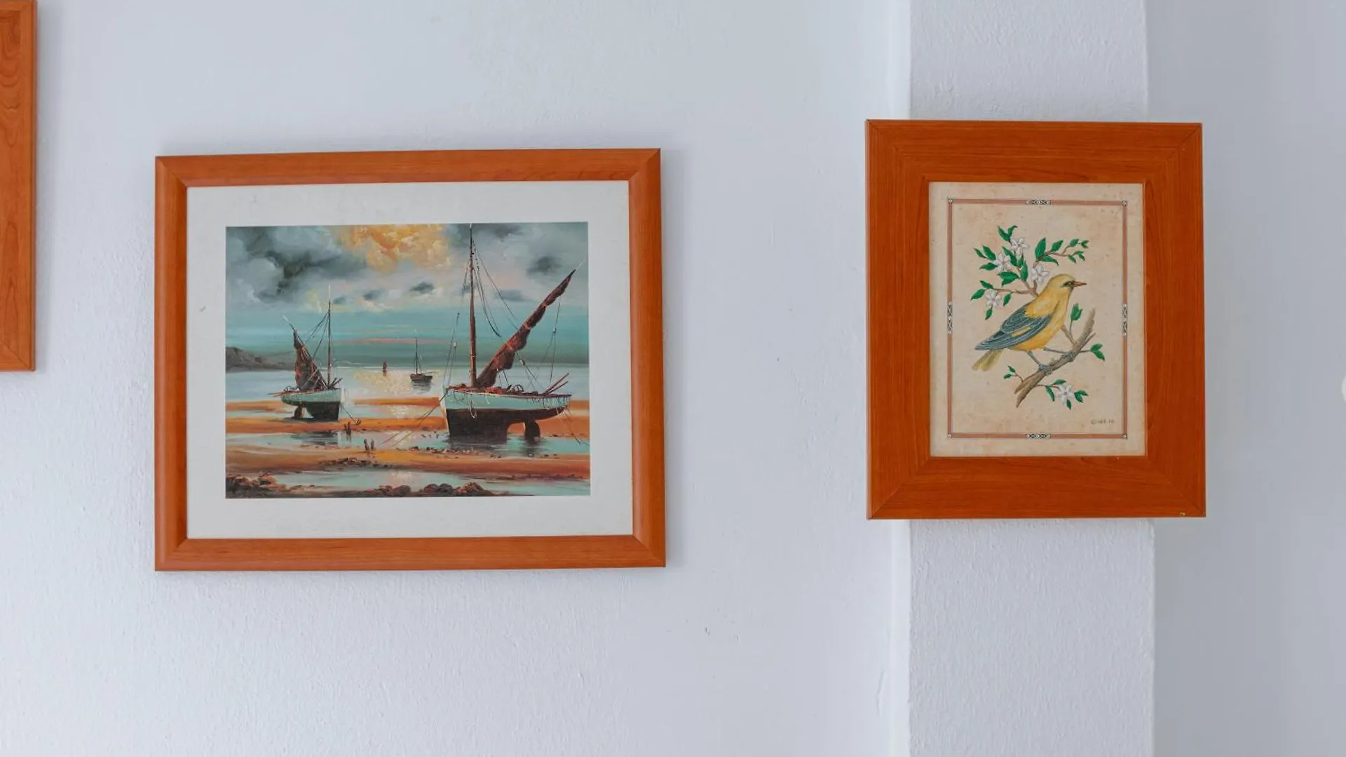 ゲストハウス Hostal Habitaciones & Suites Don Pepin マラガ